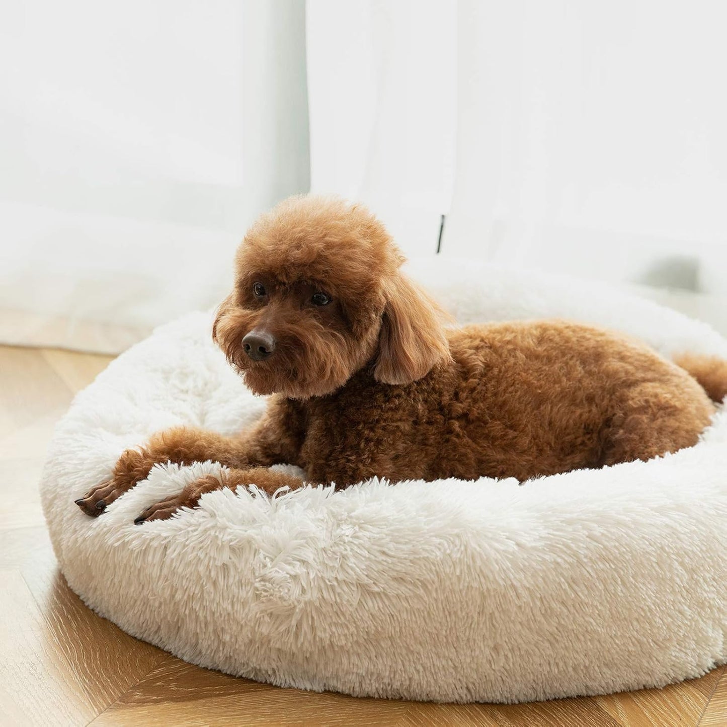 Washable Dog round Bed Large, Donut Dog Bed Large Dog, Comfy Dog Calming Cuddler Bed